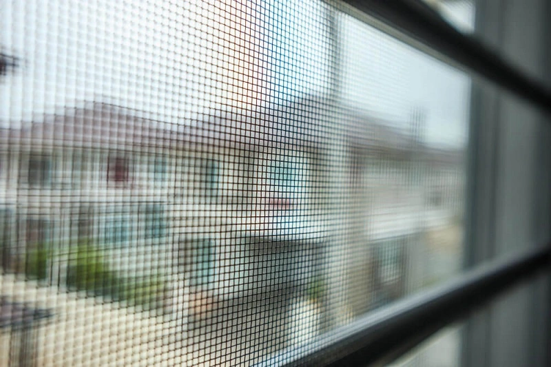 Razones para instalar mosquiteras